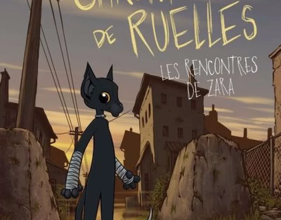 Couverture du livre «Les rencontres de Zara»