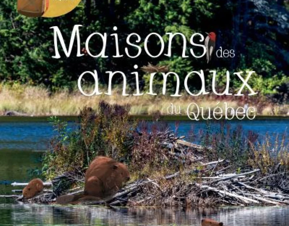 Couverture du livre «Maisons des animaux du Québec»
